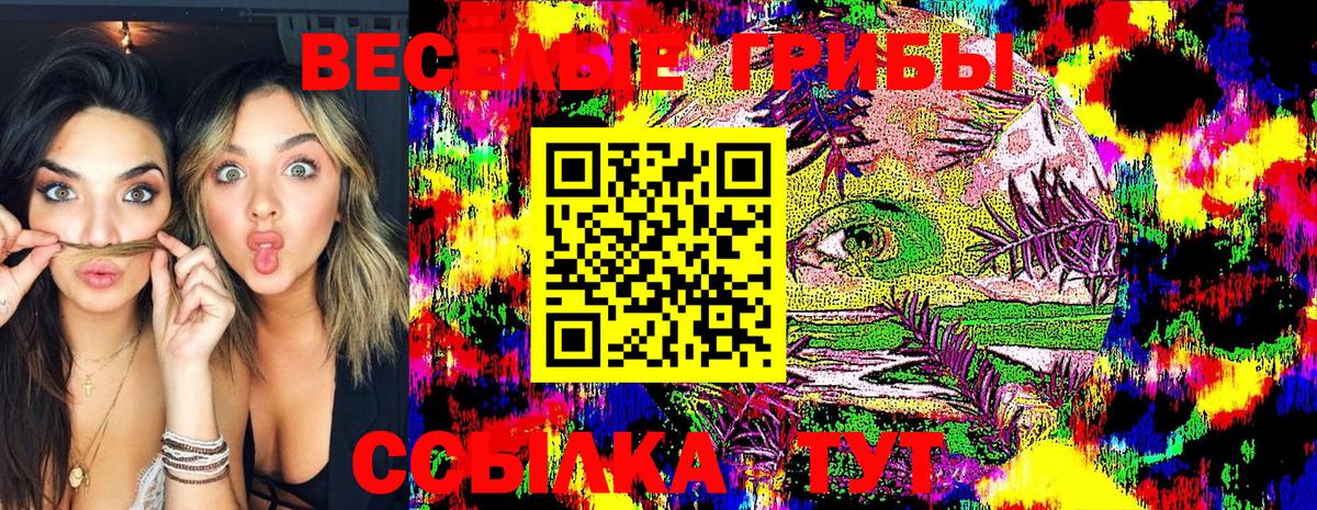 Екатеринбург  Псилоцибиновые грибы Cubensis  Вход с VPN 